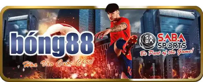 Quan sát và chờ đợi